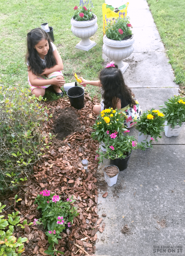 Planting Flowers for Butterfly Garden