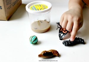 Fluttering Fun: Engaging Butterfly Activities for Kids! - The Educators ...