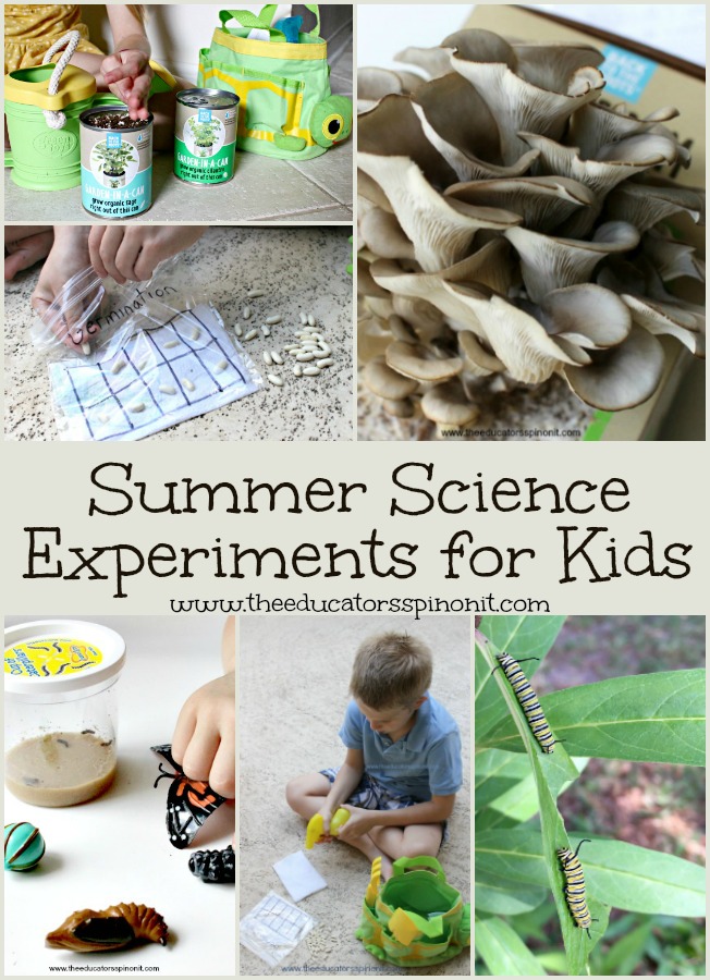 Best Summer Science Experiments for Kids: From raising butterflies to growing mushrooms and everything in between. These are the top kid selected science projects to make and do over summer break.