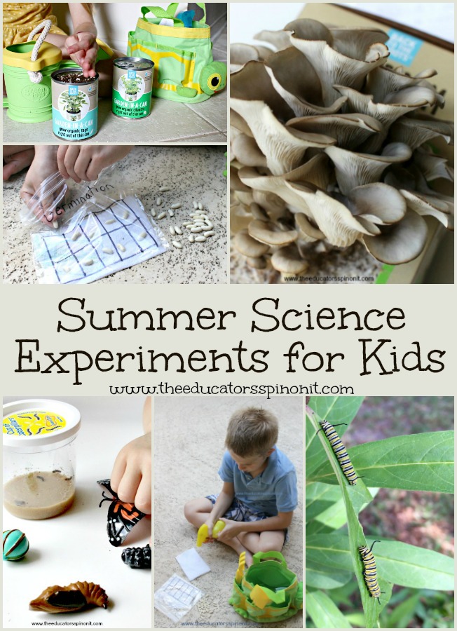 Best Summer Science Experiments for Kids: From raising butterflies to growing mushrooms and everything in between. These are the top kid selected science projects to make and do over summer break. 