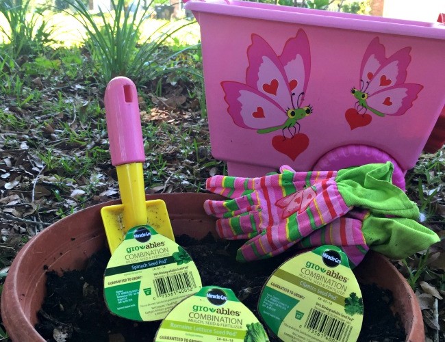 Planting a Vegetable Garden with Kids