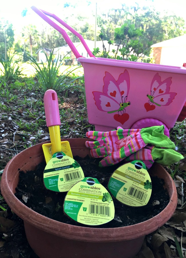 Planting a Vegetable Garden with Kids
