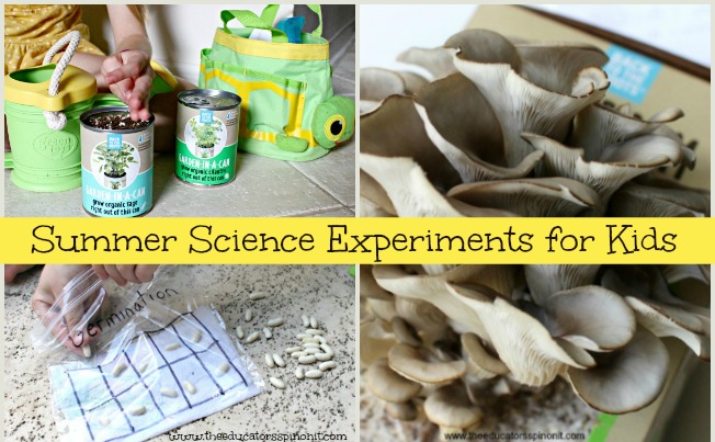 BEST summer science projects for kids to make and observe