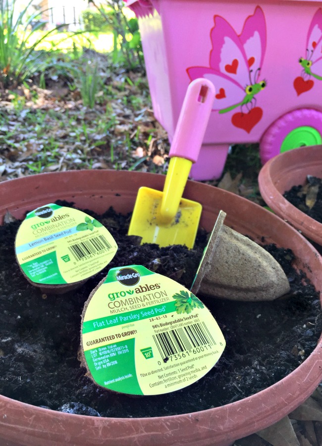 Using Gro-ables to Plant a Container Garden