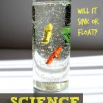 Science Sensory Bottles to explore Density with Kids