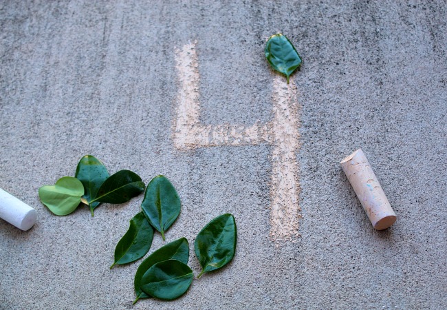 Leaf Activity with Leaves for Kids 