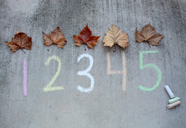 Leaf Number Game for Kids 