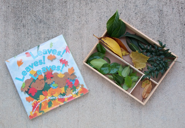 Leaves Book for Kids with Sorting Tray