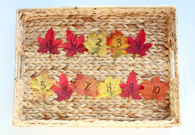 numerical order leaf game for kids this fall