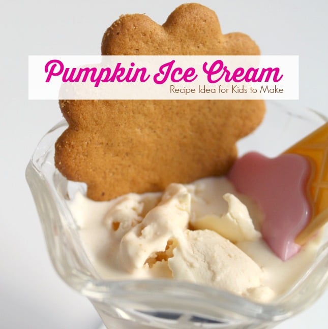 Pumpkin Ice Cream Recipe Idea for Kids to Make 