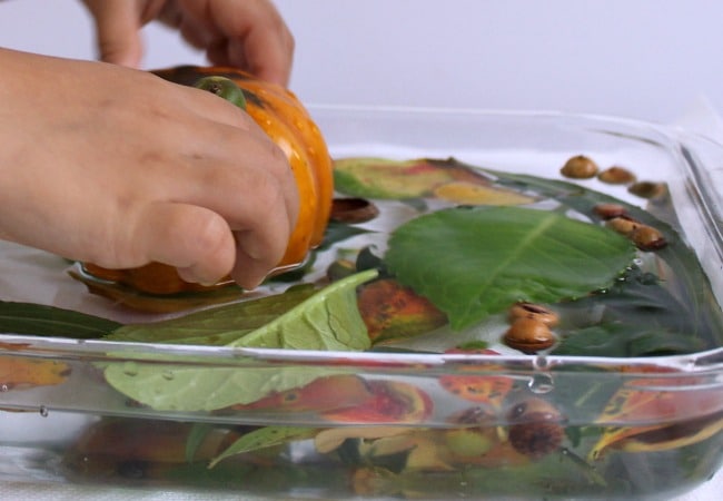 Play with Pumpkins in Water with Kids 