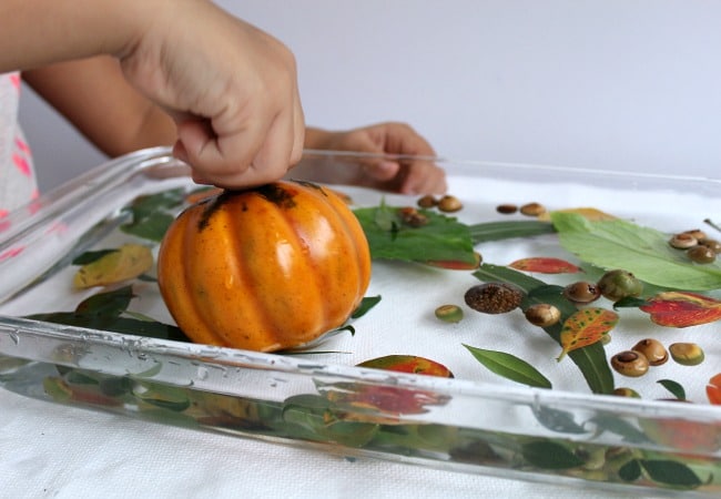 Sensory Play with Pumpkins and Water