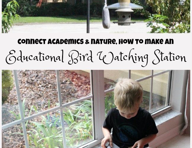 Connect academics and nature in your home or classroom. How to make an educational bird watching station with kids.