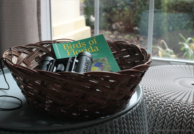 Educational Bird Watching Station Basket