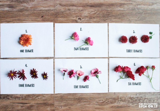 Counting Flower Activities for kids