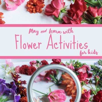 Simple Flower Activities for Kids