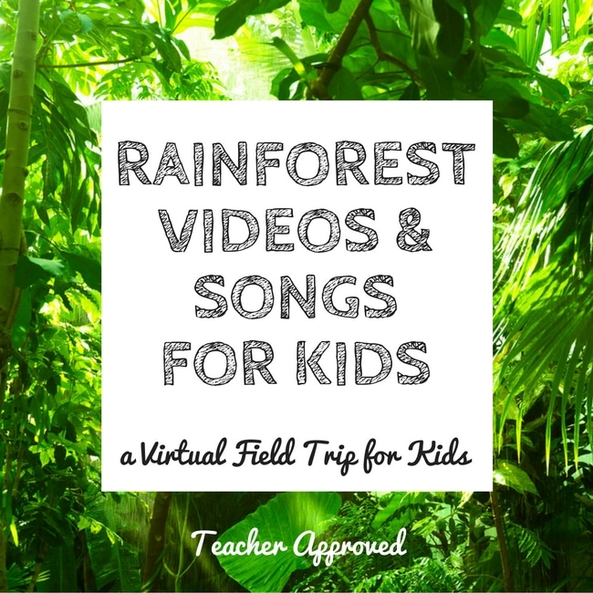 Rainforest Videos and Songs for Kids. A virtual field trip the kids will love to the jungle! 