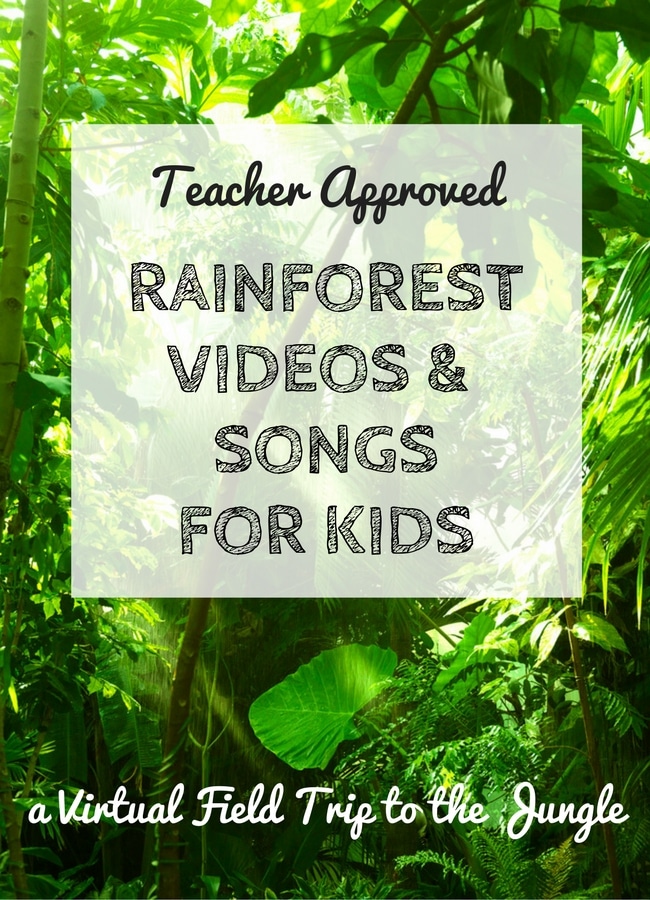 Jungle Songs for Kindergarten Down in the Jungle Rhyme