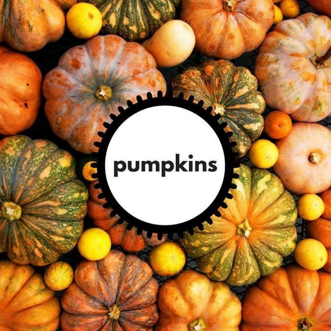 Pumpkins STEAM Challenge