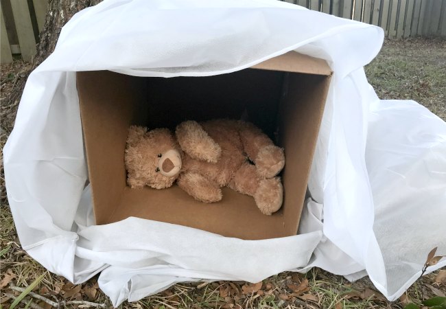 Bear Hibernating Pretend Play