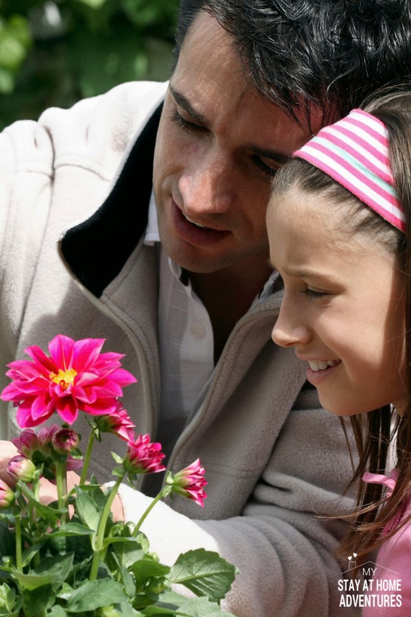 Father and daughter in garden planting pink flowers 