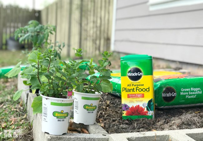 Using Miracle-Gro in your Vegetable Garden this Spring