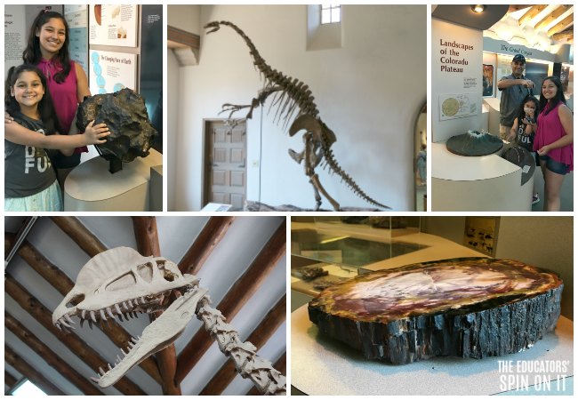 Exploring Prehistoric Animals, Petrified Food, Meteors and Volcanos at the Museum of Northern Arizona