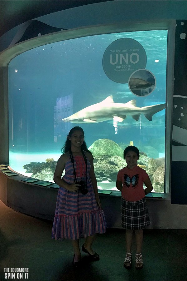 OdySea Aquarium featuring Sharks