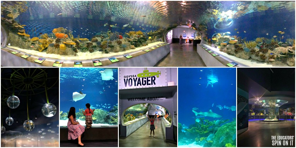 Visiting the OdySea Aquarium in Arizona with Kids