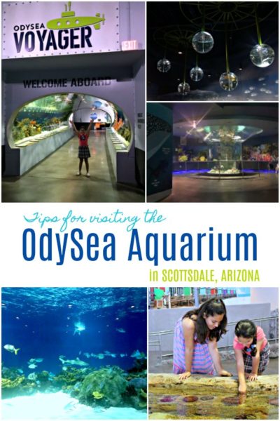 Visiting the OdySea Aquarium in Scottsdale Arizona