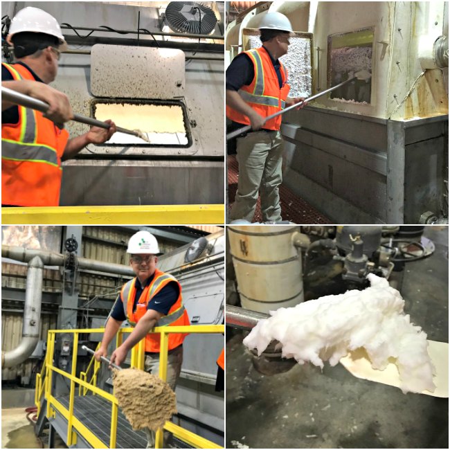 Process of taking Pulp into Clean Pulp at Georgia-Pacific Foley Cellulose in Perry, Florida