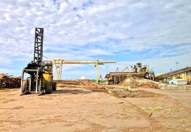 Trees becoming wood chips at Georgia-Pacific Foley Cellulose Mill