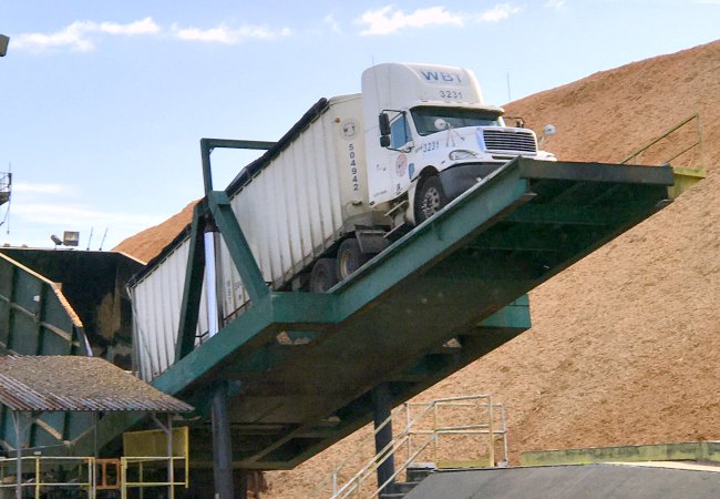 Wood Chip Pile at Georgia-Pacific Foley Cellulose Mill