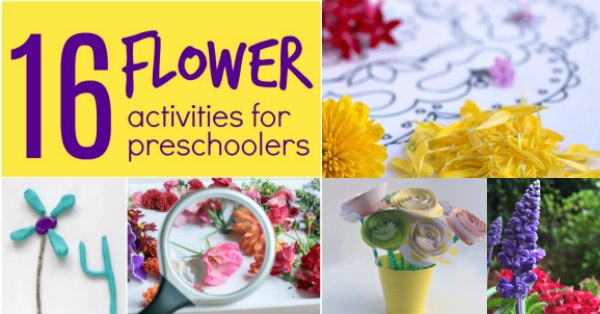 16 Flower Activities for Preschoolers with real flowers, paper flower crafts and more.