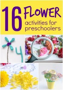 Flower Activities for Preschoolers - The Educators' Spin On It