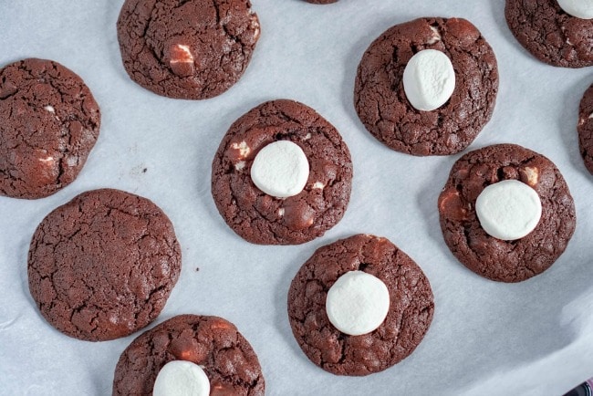 Adding large marshmallows to hot chocolate cookies