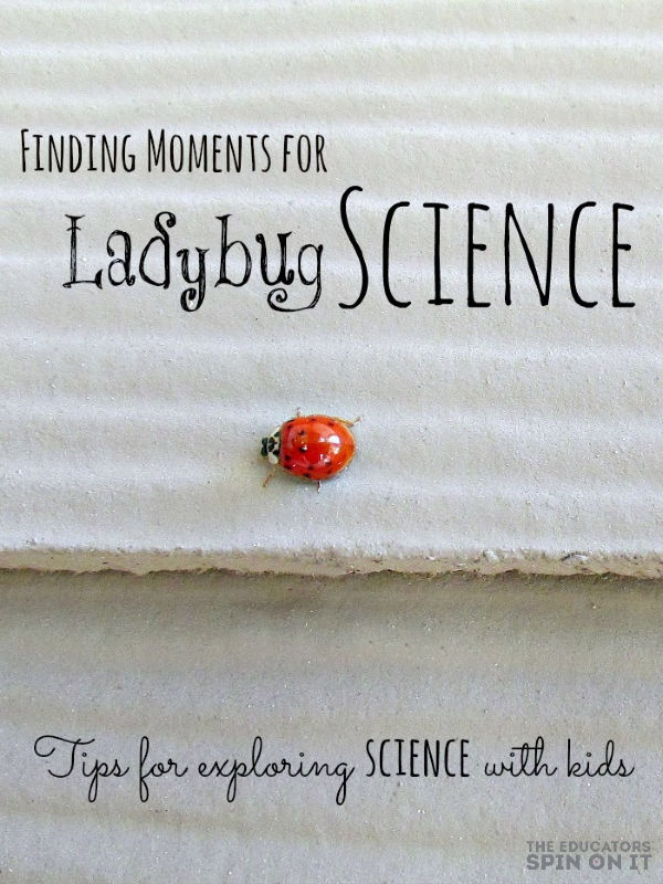 Ladybug on side of home for kids with tips to explore ladybug science