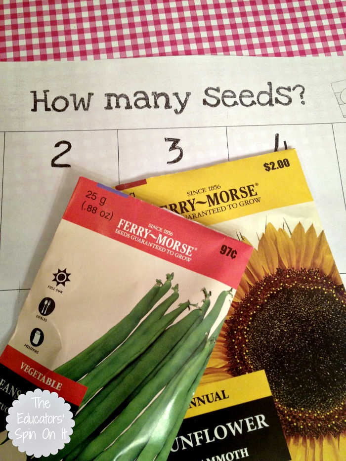 Seed packets with printable seed activities inspired by the book the Tiny Seed.  