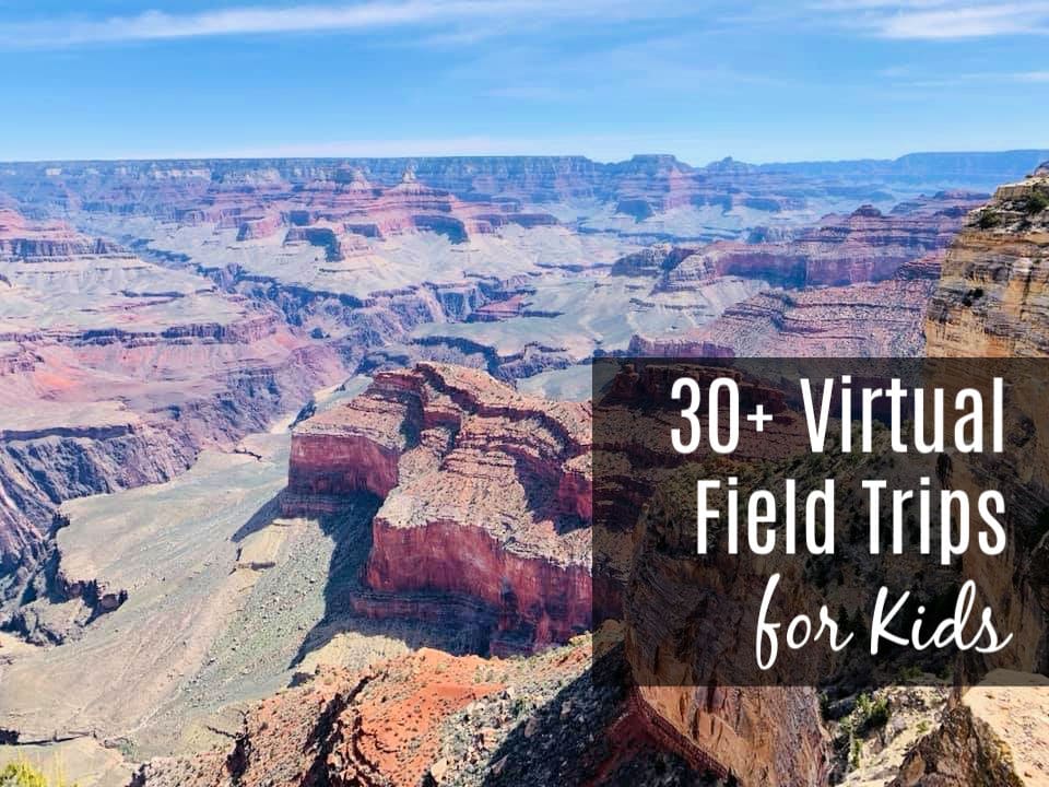 30+ Virtual Field Trips for Kids
