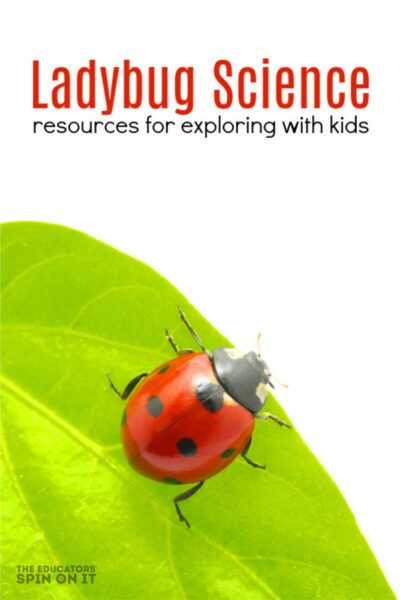 ladybug on leaf with resources for teaching kids about ladybug science