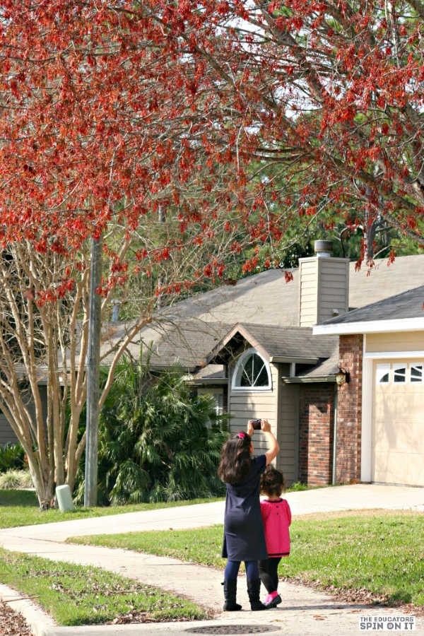 kids walking using camera on scavenger hunt looking for signs on spring in the trees and plants. 