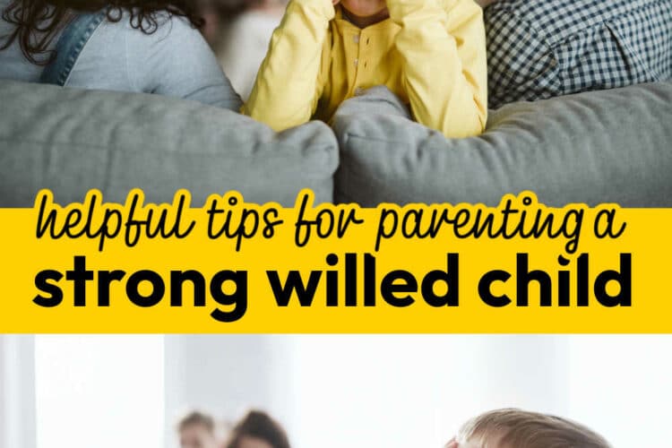 Helpful tips for parenting a strong willed child