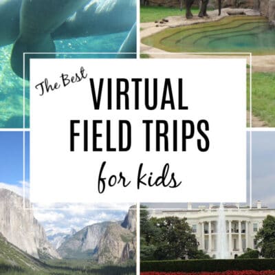 30+ Virtual Field Trips for Kids