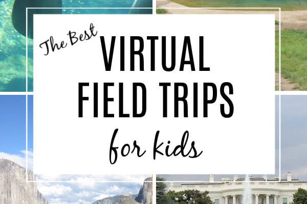 virtual field trips for kids featuring white house, yosemite, manatees and elephants and DC zoo