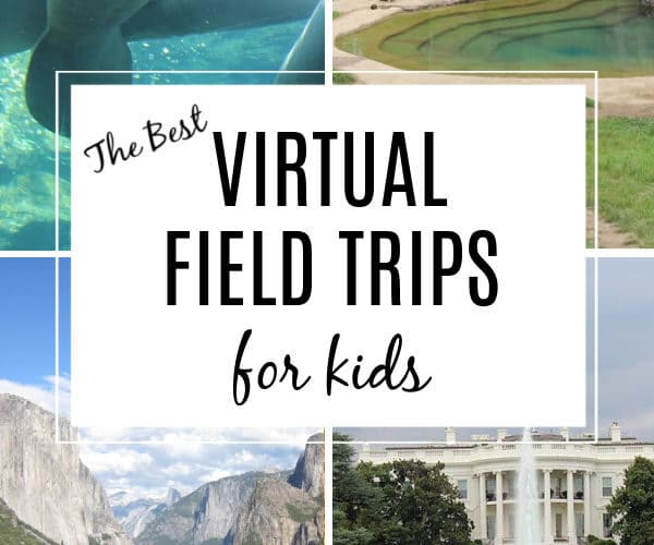 virtual field trips for kids featuring white house, yosemite, manatees and elephants and DC zoo