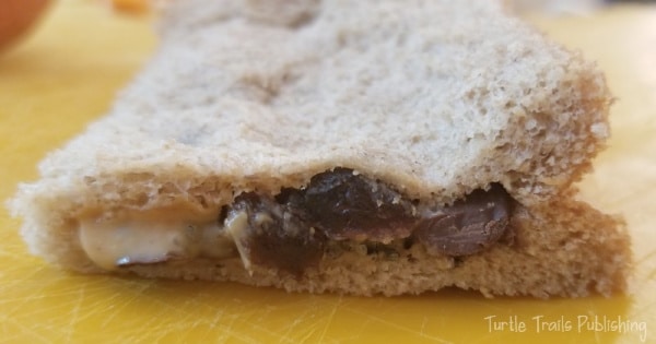 Bread with edible items to represent sedimentary Rocks