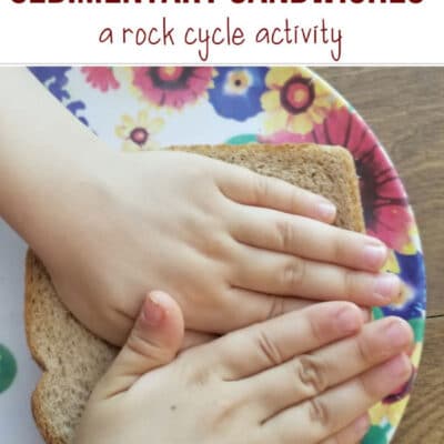 Edible Sedimentary  Sandwiches: A Rock Cycle Activity
