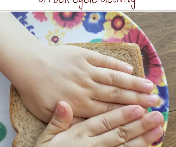 child making sandwiches to represent sedimentary rocks using edible items