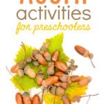 acorn activities for preschoolers with acorns and fall leaves