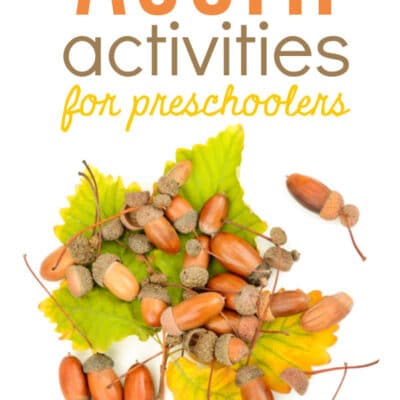 Acorn Activities for Preschoolers